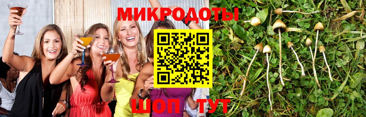 Нижний Тагил  Псилоцибиновые грибы мицелий  Вход с VPN  Галлюциногенные грибы мицелий 